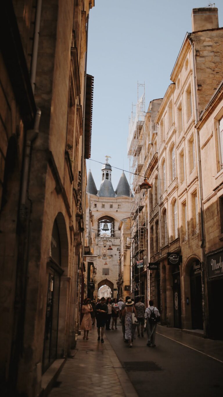 369AD527-F00C-4CB2-95BB-B7AE04E17B6B