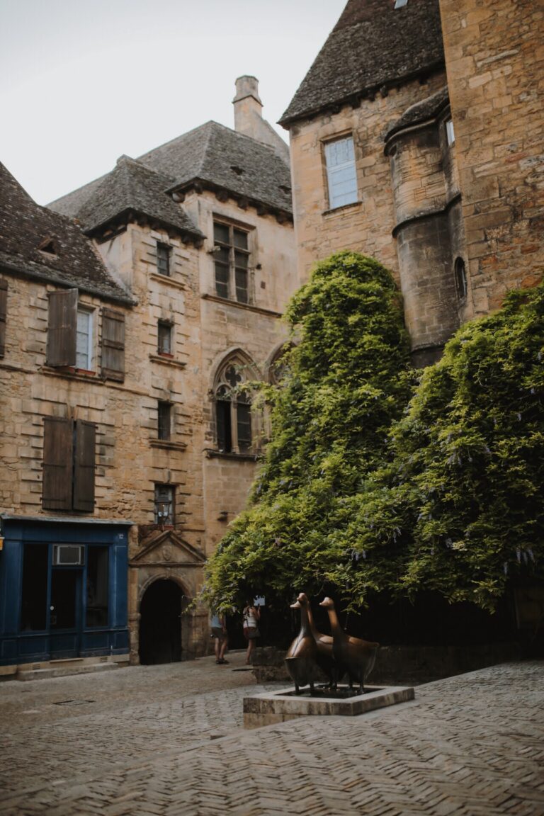 4E1E32FF-7F0A-497B-9AD3-DE9256768C20