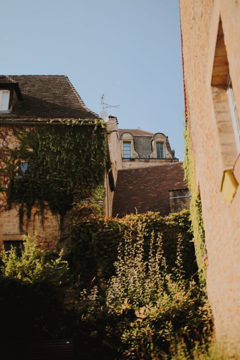 5E050C07-E14E-49A0-B00C-DE9374A21C3E