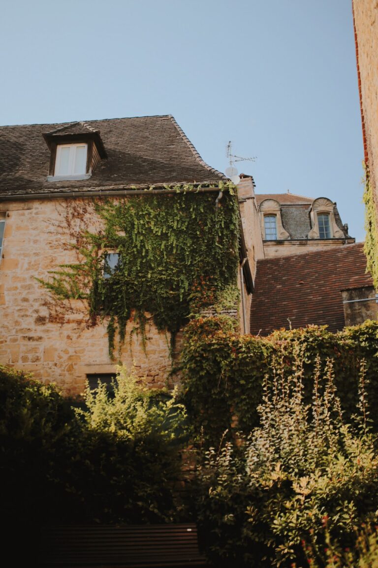 62243EDB-7688-4C06-AA63-5524F9E1F81F