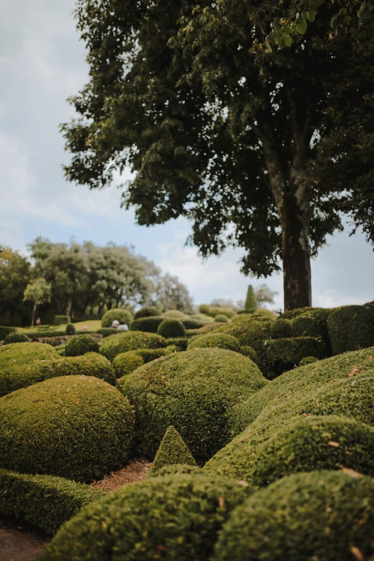 B8F8BCF4-3825-49D4-8AEC-4C58311F6963