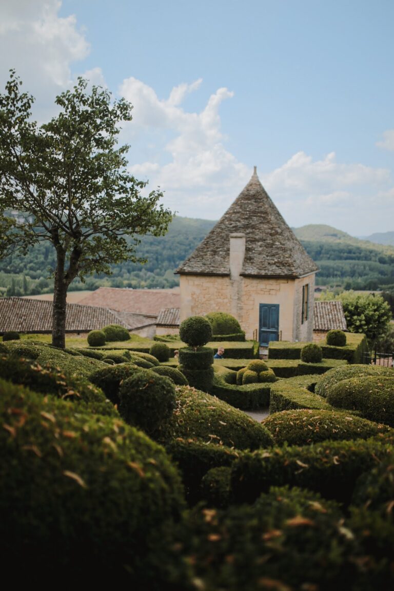 BB721958-947E-4AB7-9787-07E04FFAB136