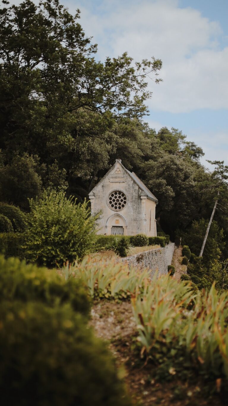 D13B70C3-12ED-49ED-A4AB-0161A7FBFAA7