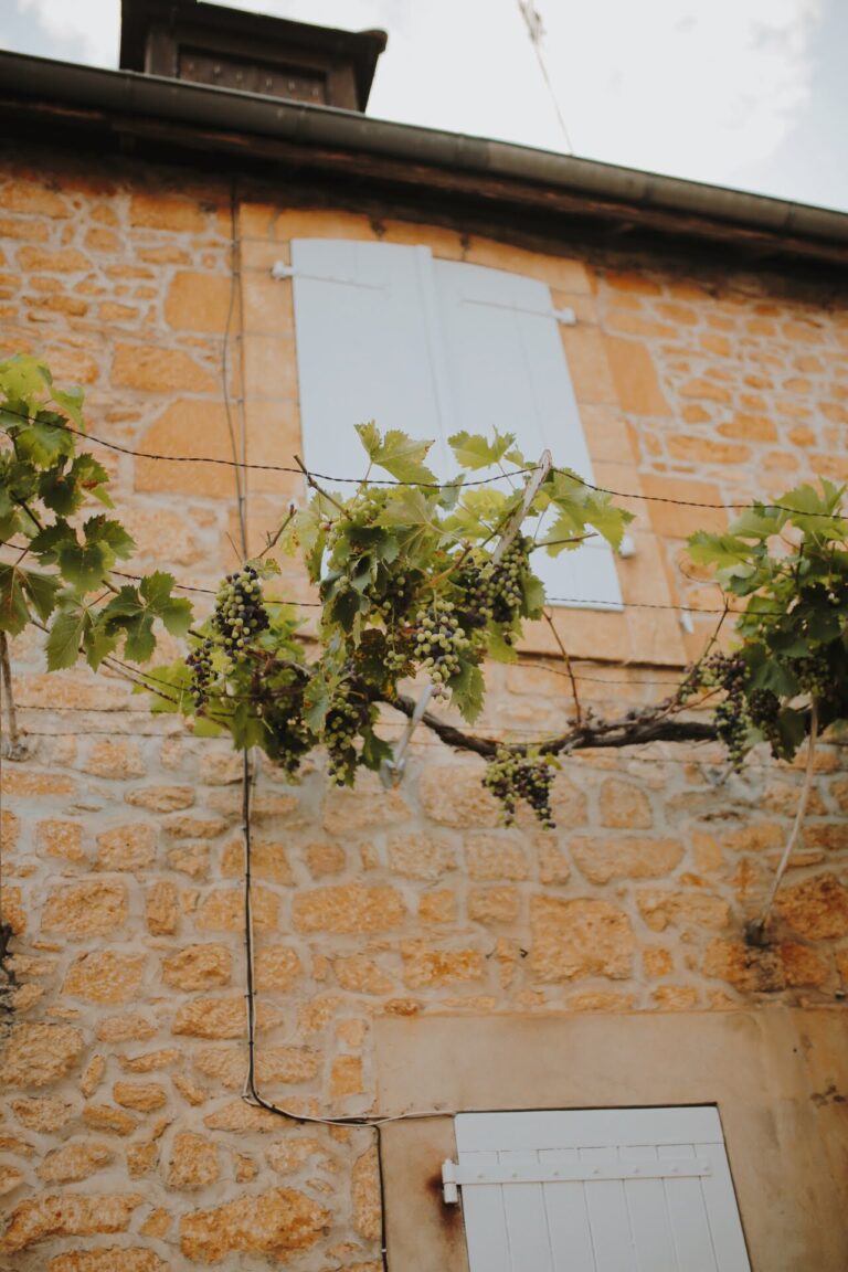 D8859475-3CA2-4EC8-BF8A-73322D8BE5AF