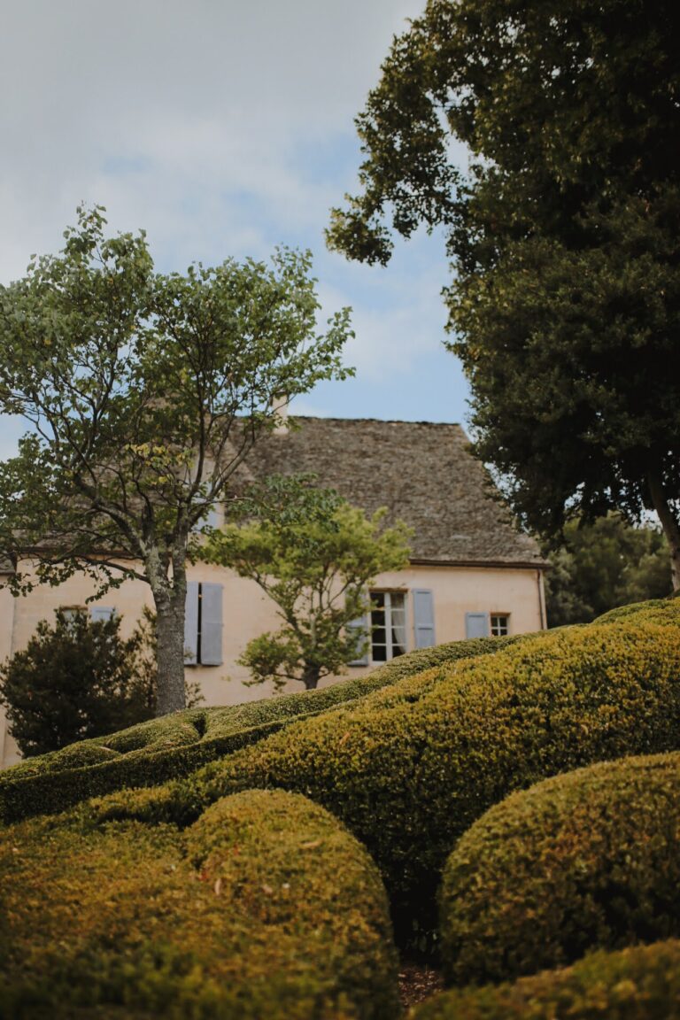 DDEB8602-28D2-4365-AB51-FC85C9881657