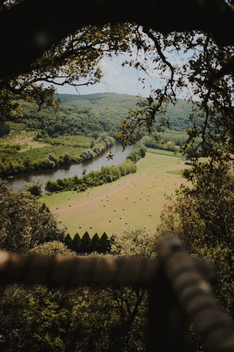 E7A421F4-FA1D-46DE-8820-24A5BFECBDA0